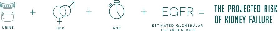 CKD Equation